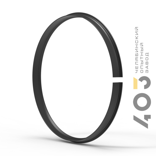 Кольцо замочное 21'' (для колёс с изменяемым давлением) (397.3101031)